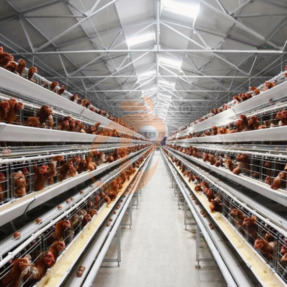 layer battery cage system (17) layer battery cage system (17)