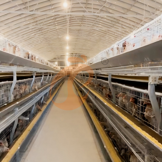 layer battery cage system (16)