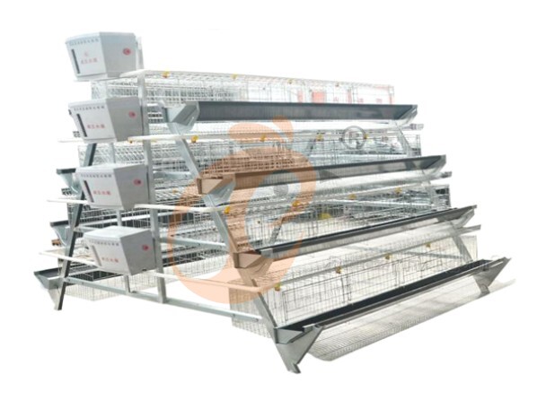 Semi Automatic A Type Layer Battery Cage System