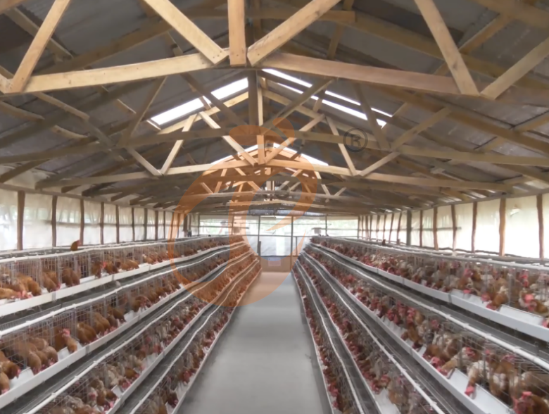 Semi Automatic A Type Layer Battery Cage System