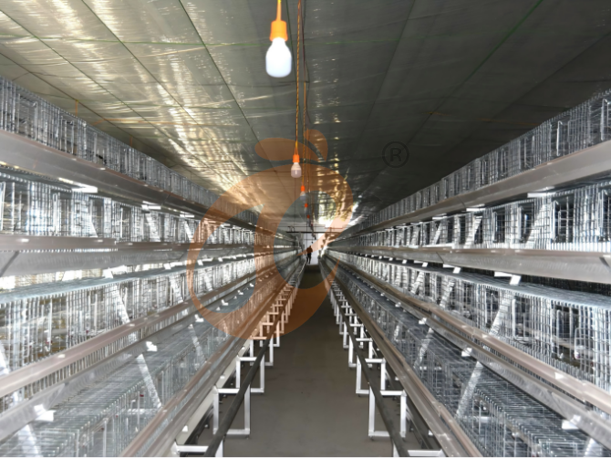 Automatic A Frame Brooder Battery Cage System