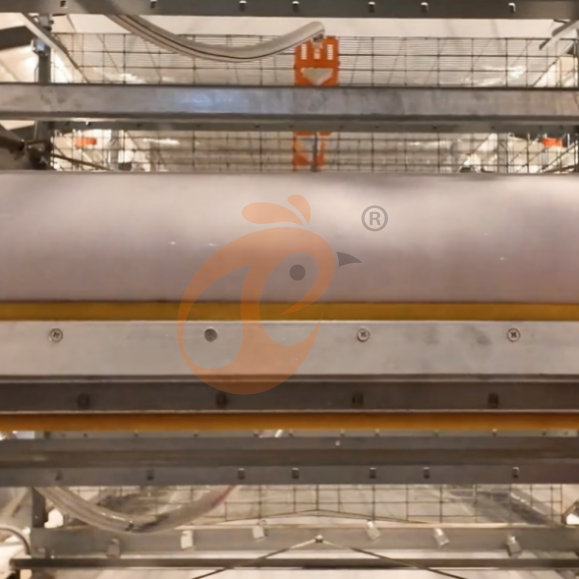 brooder battery cage system (15)