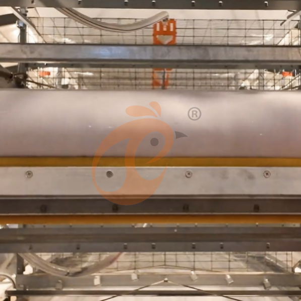 brooder battery cage system (6)