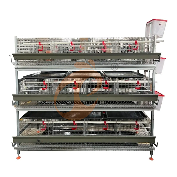Battery cage system for brooder (2)