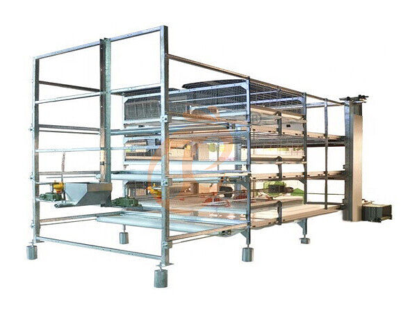 broiler chicken cage design (2)