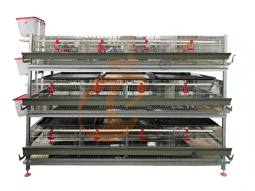 battery cage system for broiler (1)