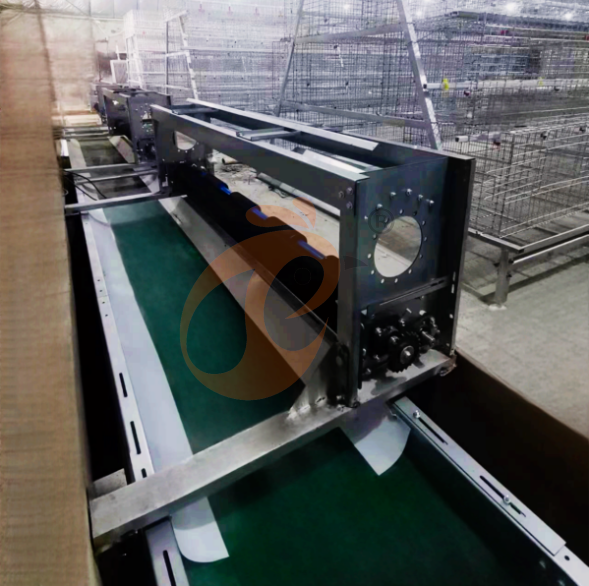 broiler battery cage system (45)