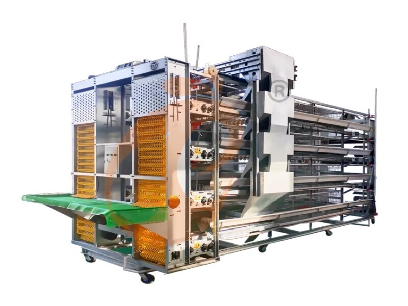 The Popular Type Hot Sale Battery Cage Price And Application In Poultry Farm - Vanke ( China–Nigeria Branch )