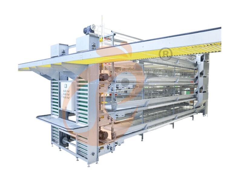 How to Choose the Right Type of Battery Cage, A Type Or H Type？Complete Guide From Vanke (China–Nigeria Branch)