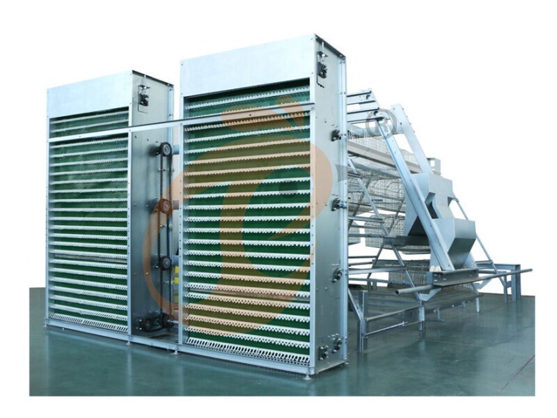 battery cage for layer (9)