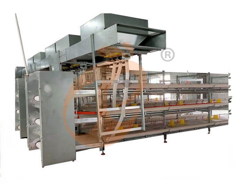 battery cage for layer (9)