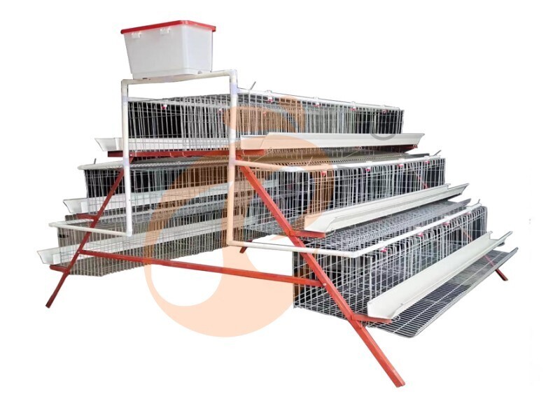 battery cage for layer (10)