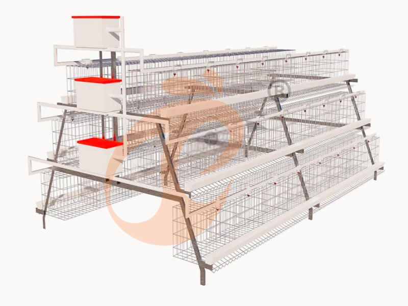 battery cage for layer (14)