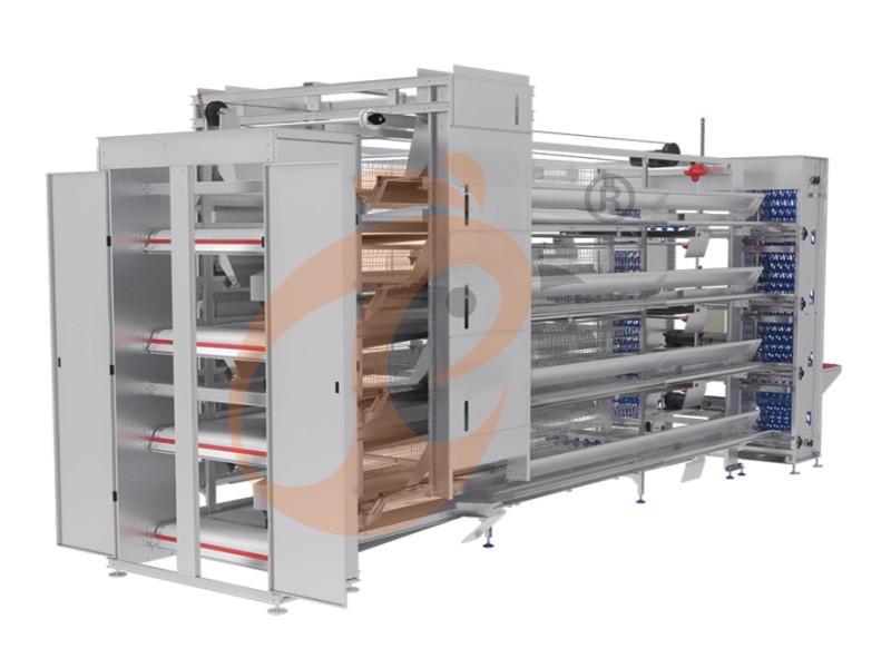 battery cage for layer (16)