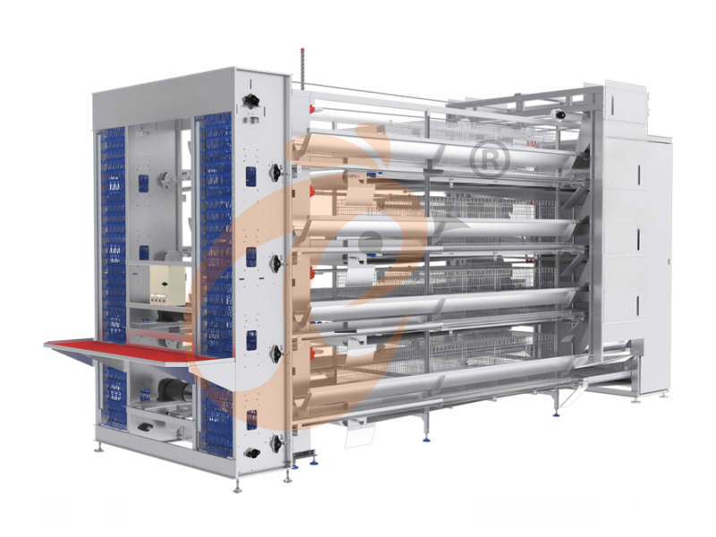 Vanke Battery Cage For Layers For Sale — Efficient Design For 1,000 To 1,000,000+ Birds In Modern Poultry Farms