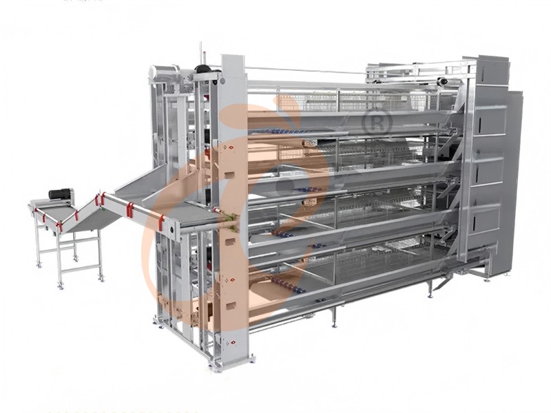 battery cage for layer (7)