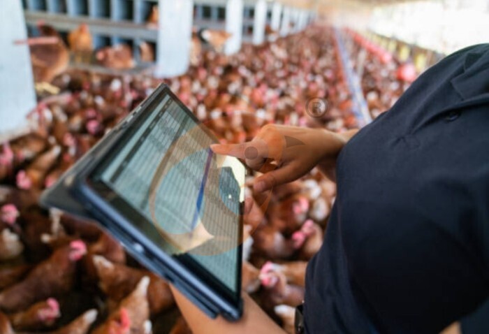 IoT Smart Poultry Farming System