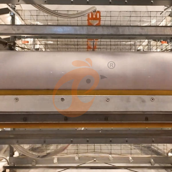broiler battery cage (16)