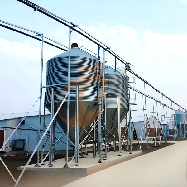 broiler battery cage (3)(1)