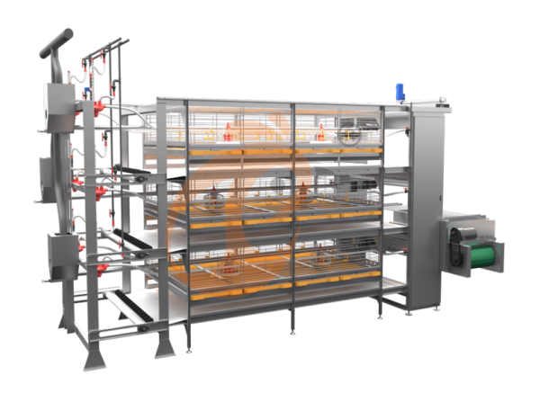 Semi Automatic Broiler Pull-out Slat Type Harvest, Automatic H Frame Broiler Battery Cage System