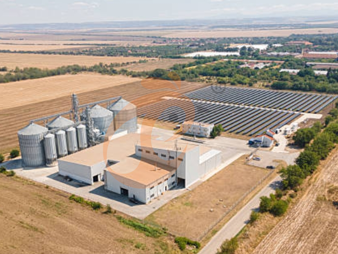 Steps To Start 300,000 To 1,000,000+ Broiler Poultry Farm