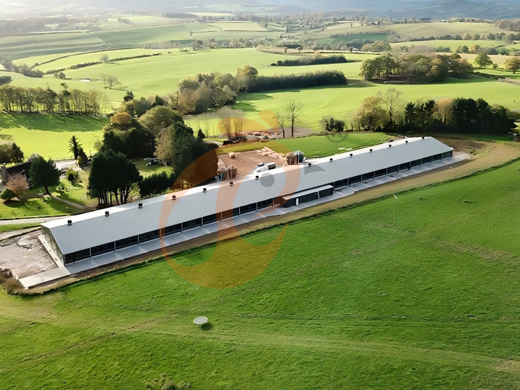 Steps To Start 100 To 30,000 Layer Poultry Farm