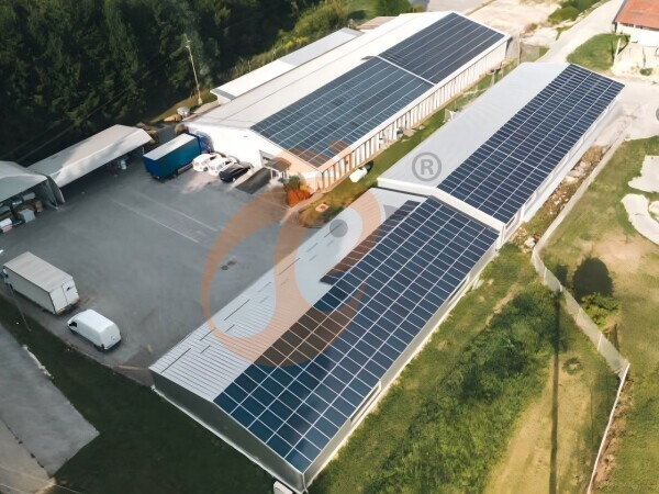 Steps To Start 100 To 30,000 Chickens Poultry Farm