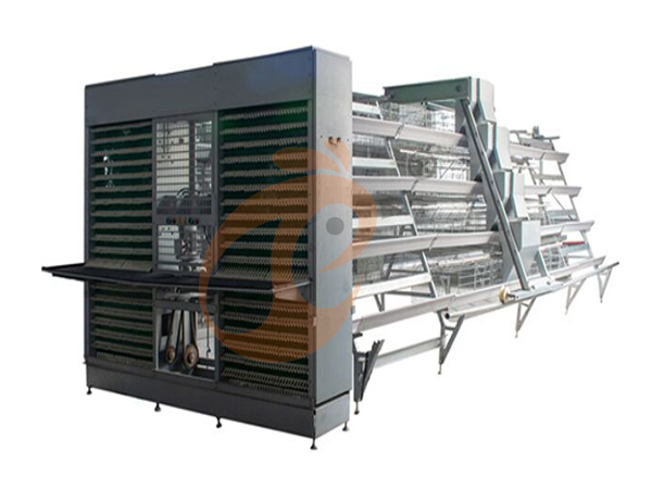 Battery Cage And Price For Layer And Broilers