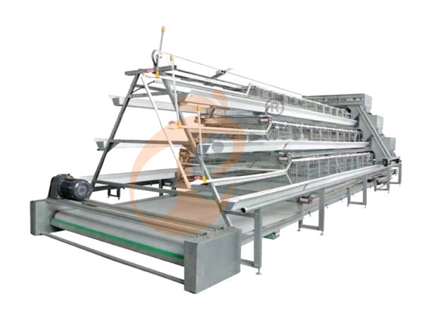 Commercial Automatic Vs Manual Layer Cage