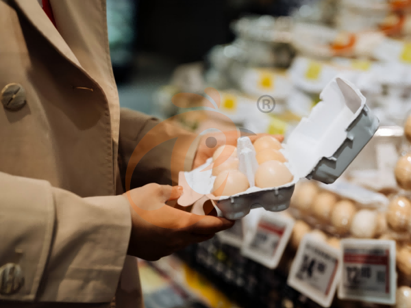 Steps To Start 300,000 To 1,000,000+ Layers Poultry Farm