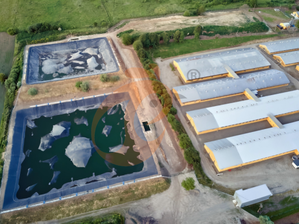 Steps To Start 50,000 To 200,000 Layers Poultry Farm