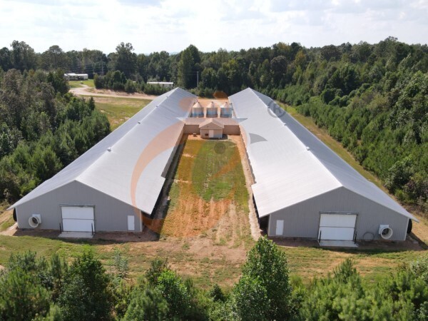 Steps To Start 30,000 To 50,000 Layer Poultry Farm
