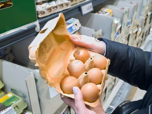 poultry farm