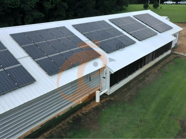 Steps To Start 10,000 To 30,000 Layers Poultry Farm