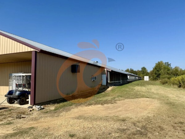 layer poultry farm 2 (1)(1)