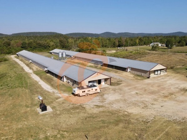 Steps To Start 100 To 30,000 Layer Poultry Farm