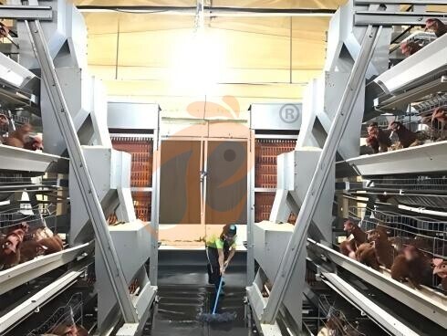 Battery Cage And Price For Layer And Broilers