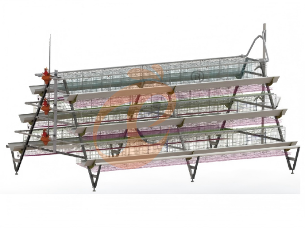Battery Cage And Farm Equipment In Smart Poultry Farm