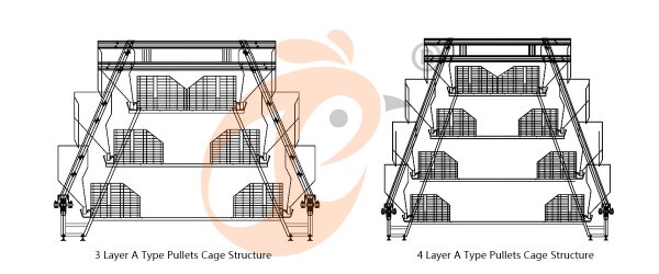 Battery Cage Types And Dimensions