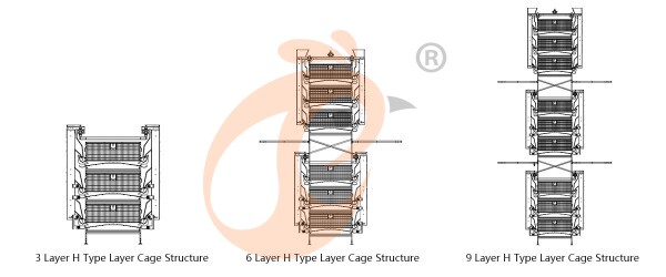 Battery Cage Types And Dimensions