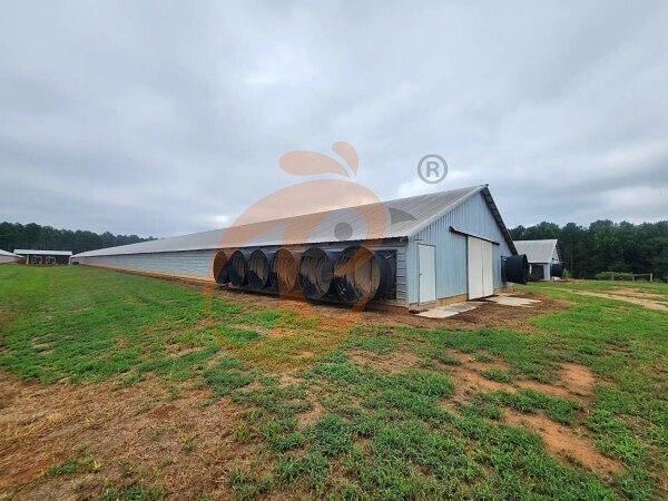 poultry farm (9)