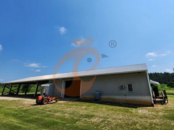 poultry farm (14)