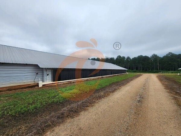 poultry farm (3)
