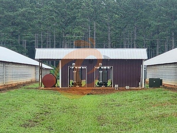 poultry farm (8)