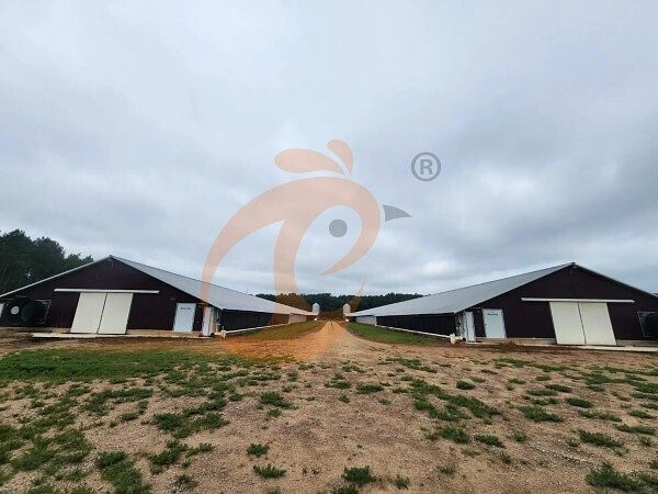 poultry farm (2)