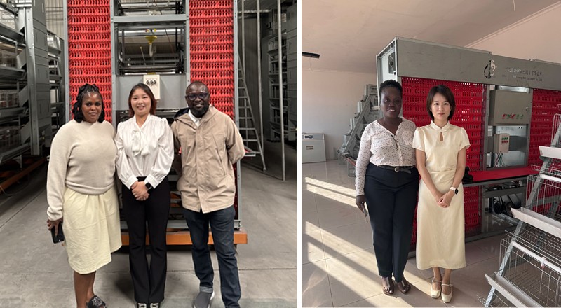 poultry equipment.png