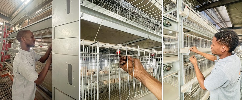 poultry farm (3).png