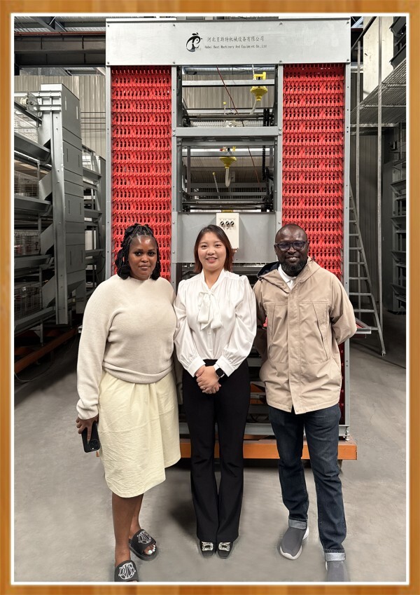 battery cage and poultry farm equipment supplier (7)