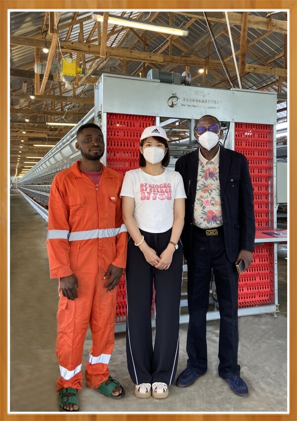 battery cage and poultry farm equipment supplier (9)