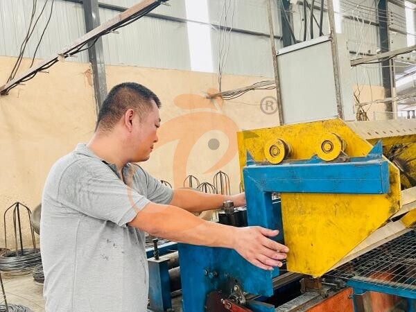 Ethiopia Branch Offer Poultry Farm Business Plan, Manufacture Poultry Farm Equipment